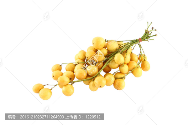 黃白底浪組。
