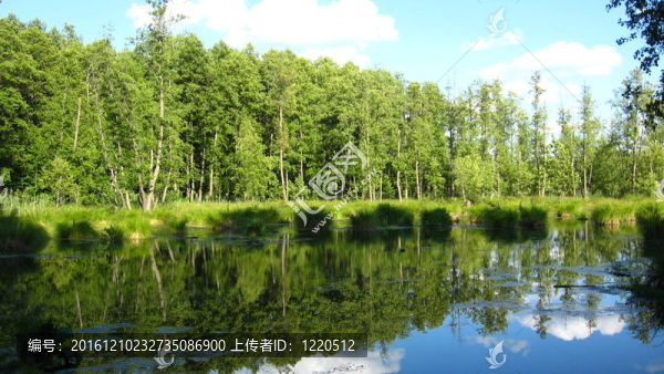 美麗的夏日風(fēng)景