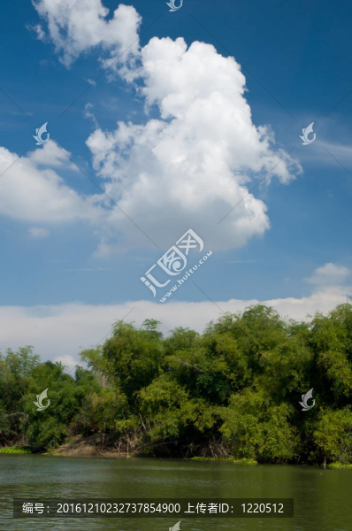 河流和ClO夏季景觀