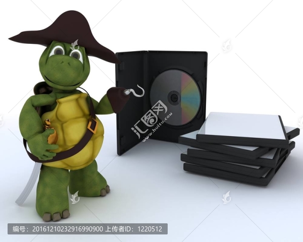 盜版龜與DVD光盤和軟件