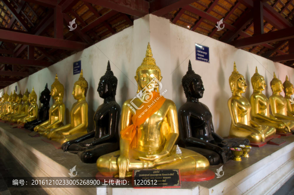 一排金色佛像