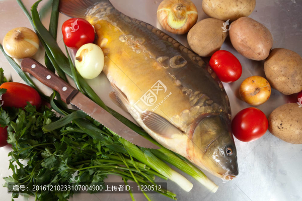 蔬菜鯉魚