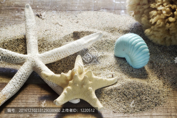 夏天的概念
