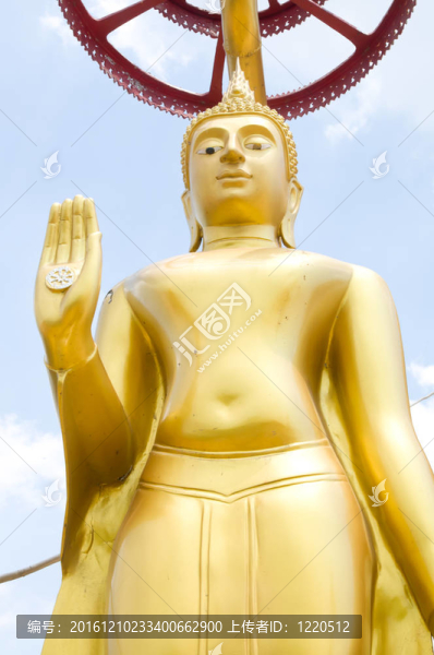 金菩薩