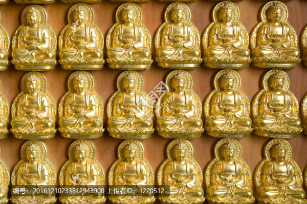 中華寺；金佛寺；