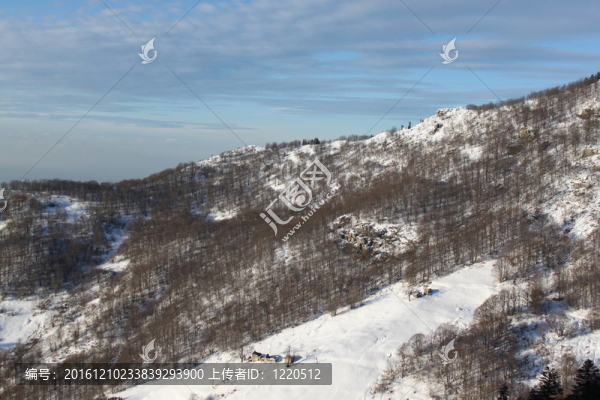 山上的雪