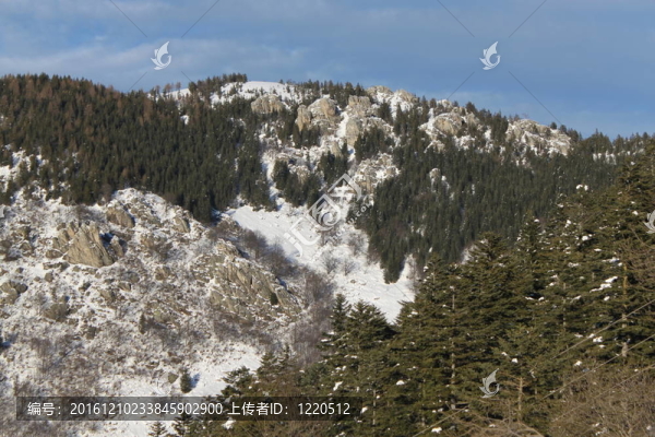山上的雪