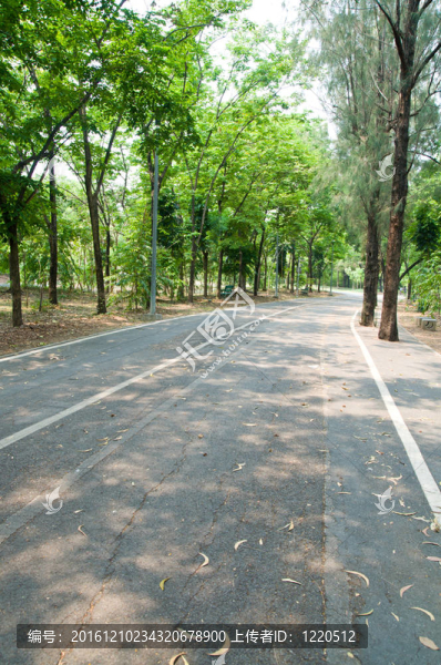 城市公園與居住的街道；泰國(guó)