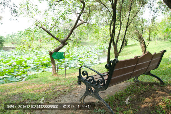 花園戶外椅