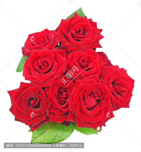 玫瑰的花束