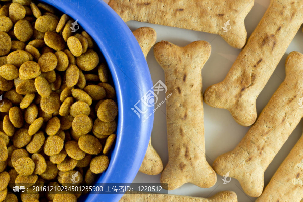 狗食骨頭