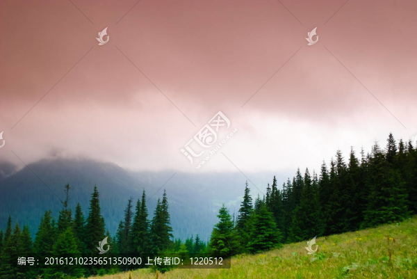 松林山地景觀