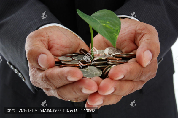 男子持有植物的錢