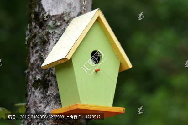 鳥(niǎo)舍