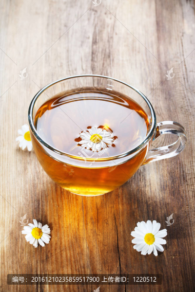 甘菊茶