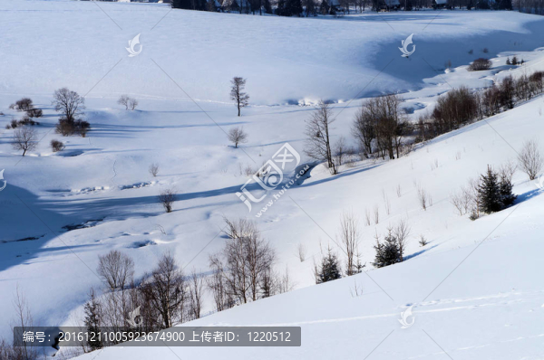 白雪皚皚的山谷