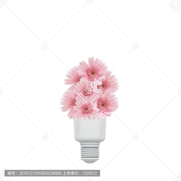 能量的概念