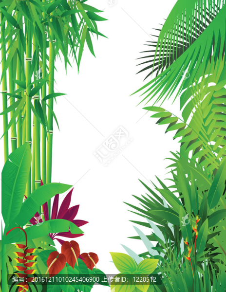 熱帶森林背景