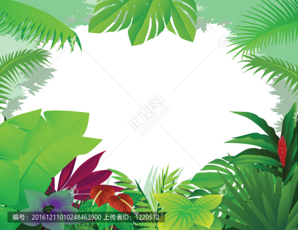 熱帶森林背景
