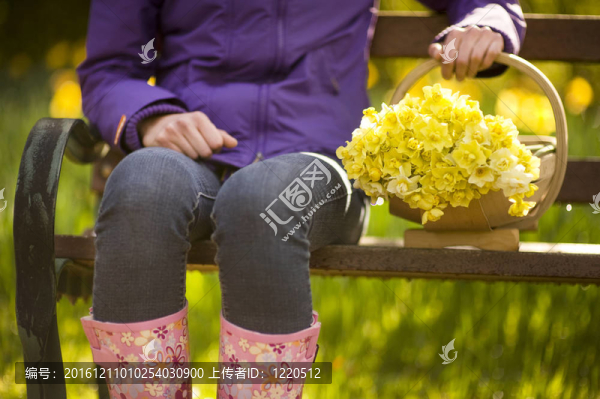 隨著采摘水仙花藥物的女人