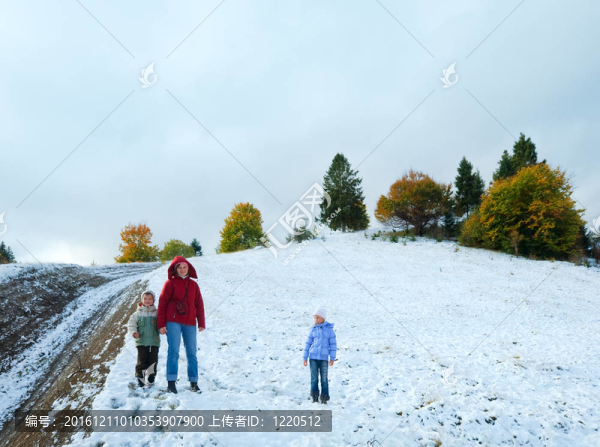 第一個冬天的雪和秋天五顏六色的樹葉在山上