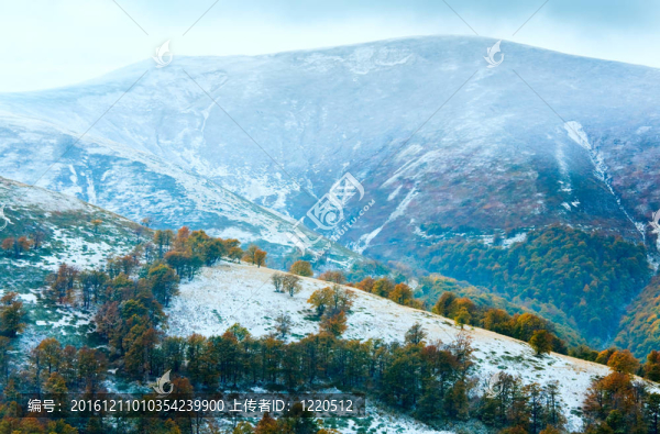 第一個冬天的雪和秋天五顏六色的樹葉在山上