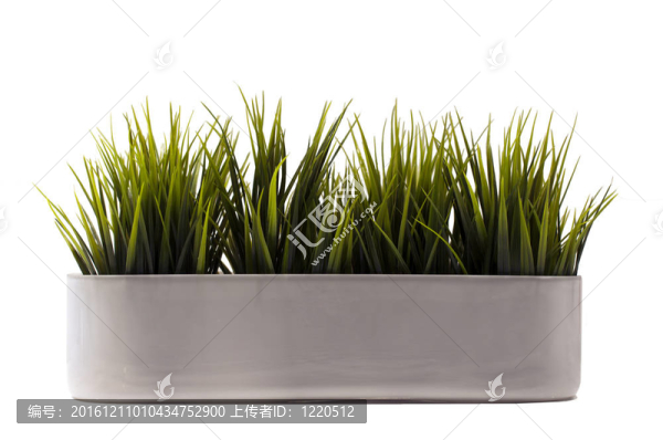 綠草煲