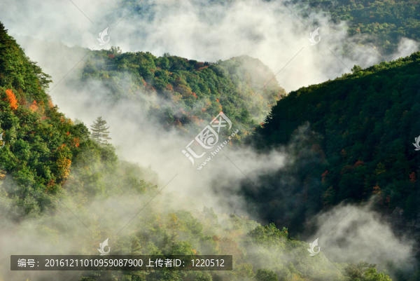 霧在Hills