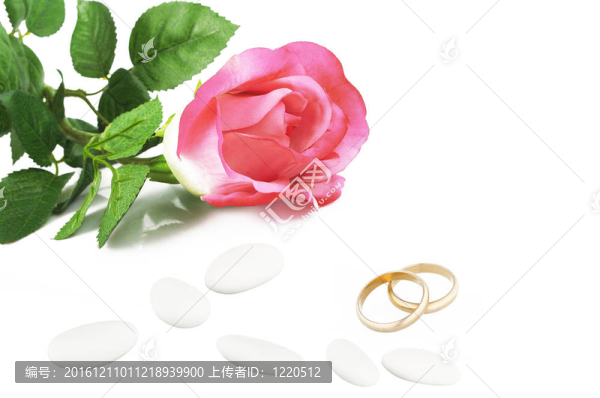 結(jié)婚戒指結(jié)婚概念