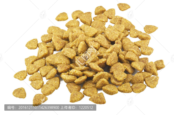 狗配件和白色食物