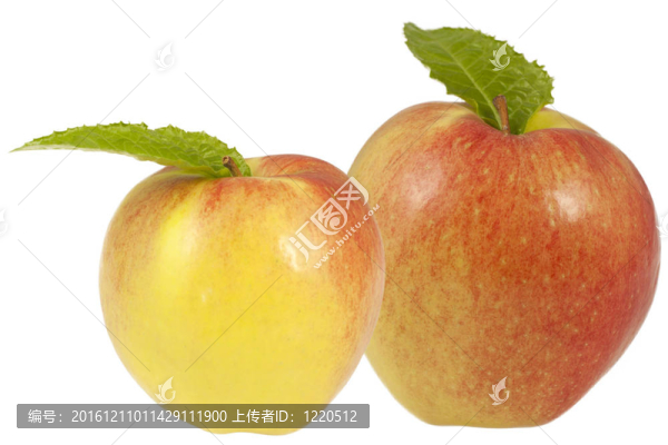 兩個(gè)蘋(píng)果大的和小的