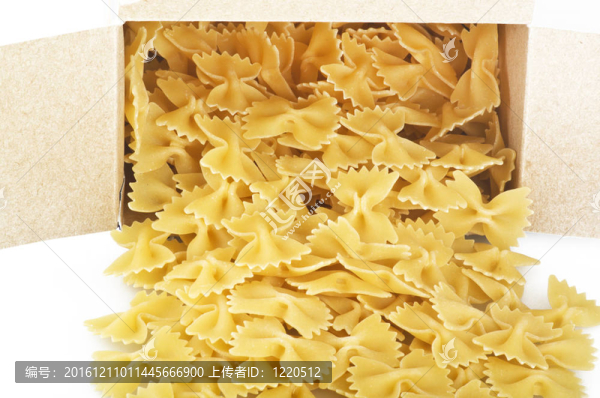 蝴蝶面在白色背景