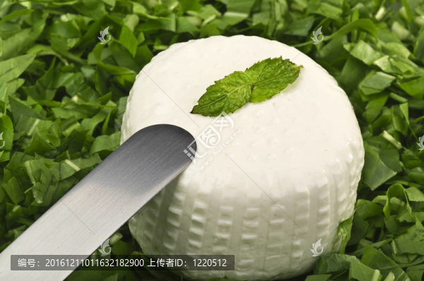 香草床上的新鮮奶酪