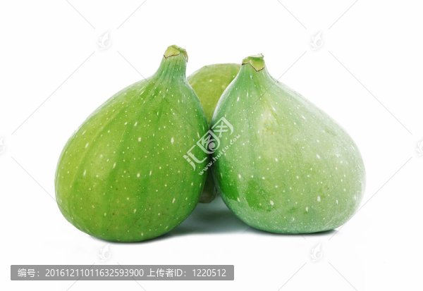 白色背景上的綠色無花果