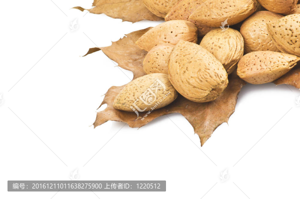 秋葉上的杏仁