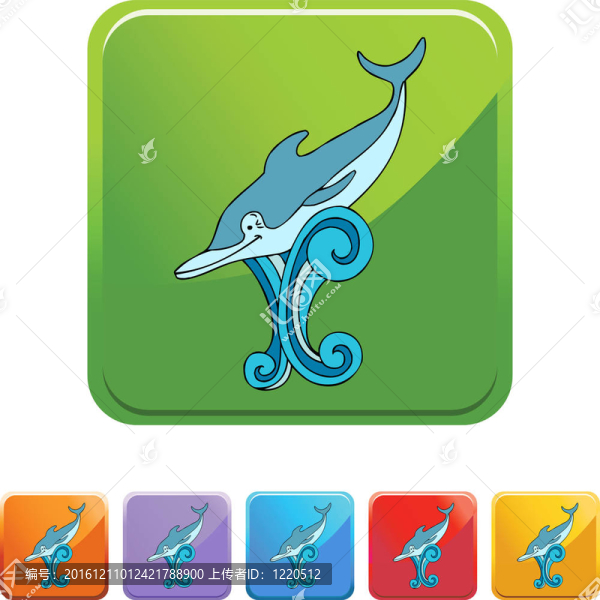 海豚