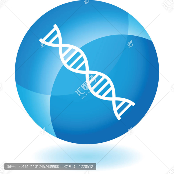 DNA