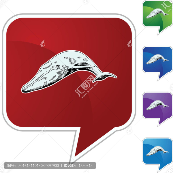 鯨魚(yú)