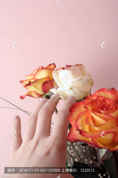 愛的花朵