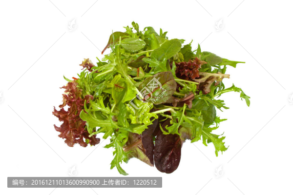在白