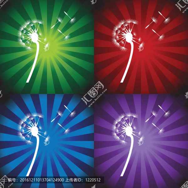 蒲公英