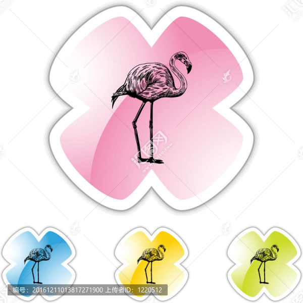 火烈鳥