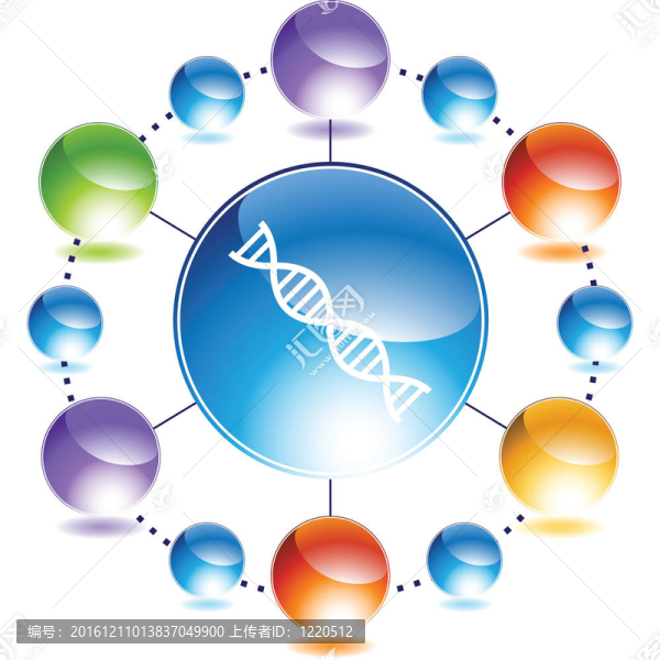 DNA