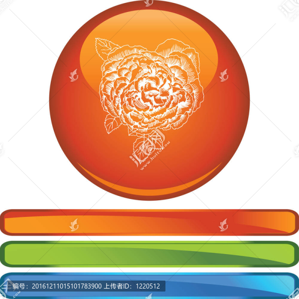 盛開的玫瑰