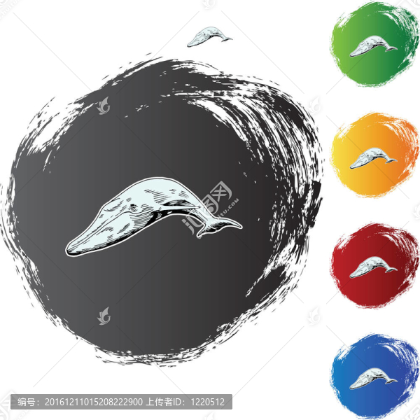 鯨魚(yú)