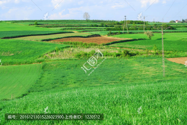 春天的風(fēng)景