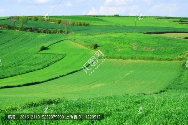 春天的風景