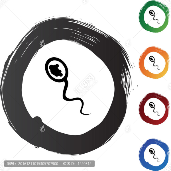 精子細胞