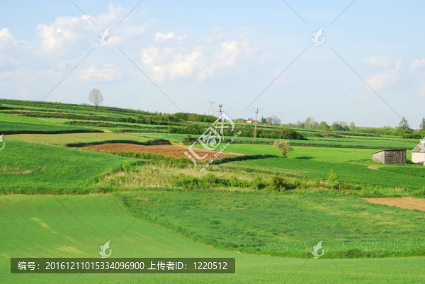 春天的風景