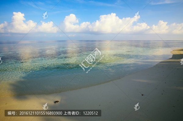 熱帶海灘的沙子